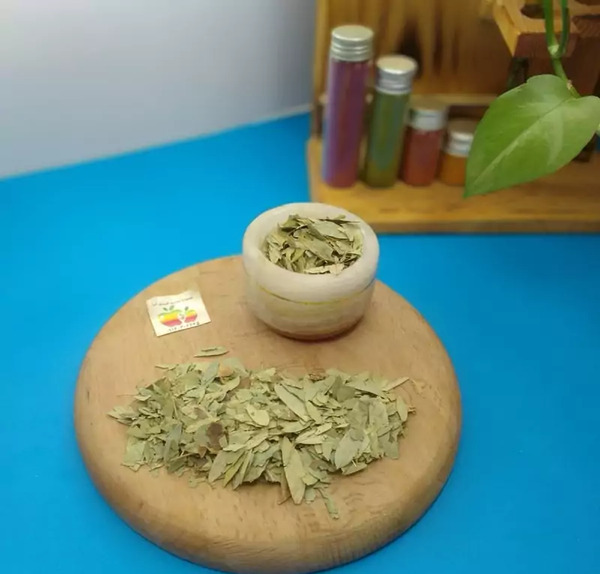 عکس درخت سنا مکی