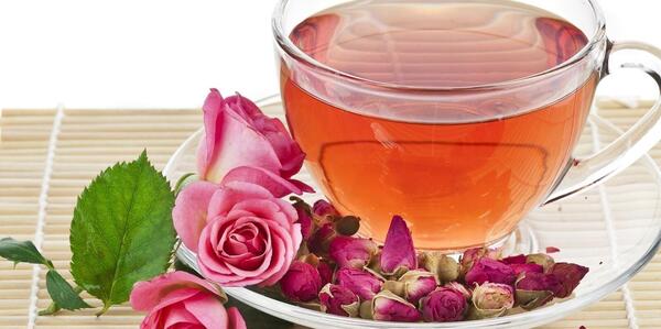 عکس درخت سنا مکی