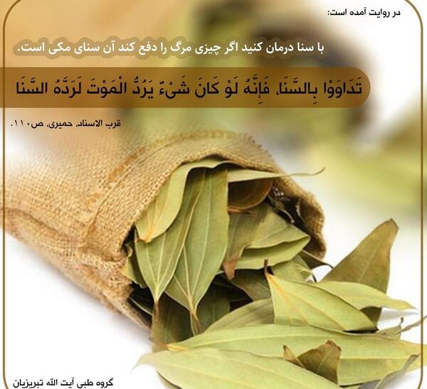 عکس درخت سنا مکی
