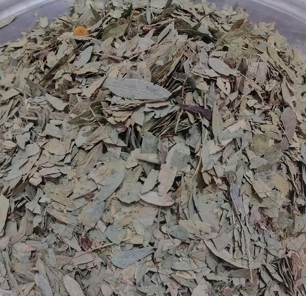 عکس برگ سنا مکی