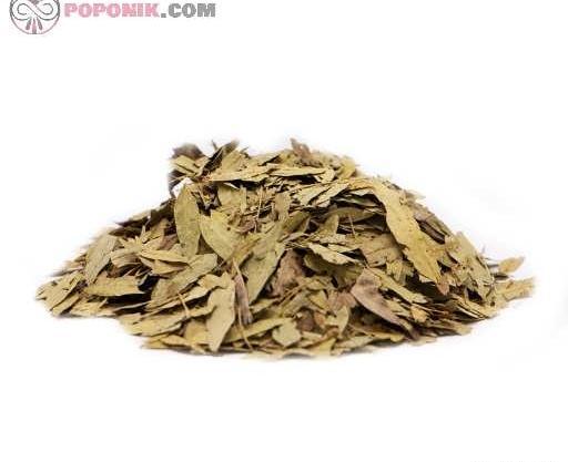 عکس برگ سنا خشک شده