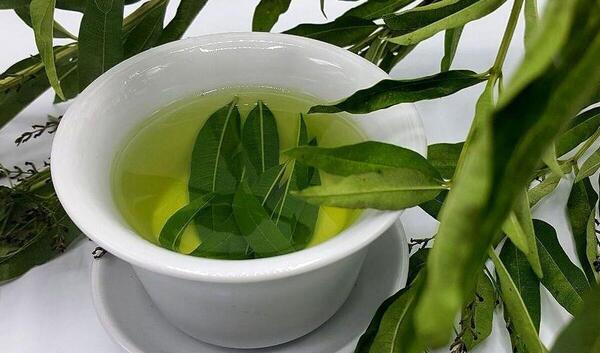 عکس برگ سنا خشک شده