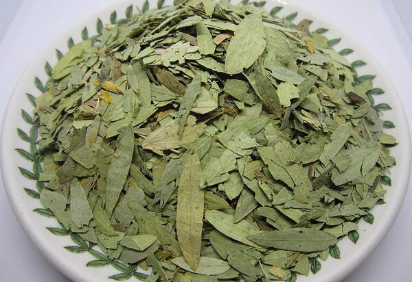 عکس برگ سنا خشک شده