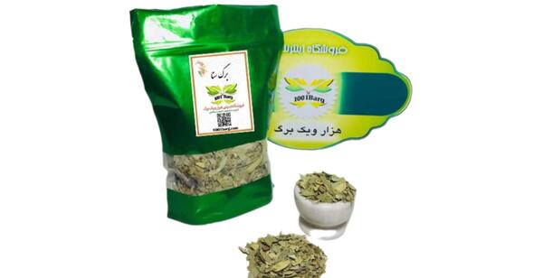 عکس برگ سنای مکی
