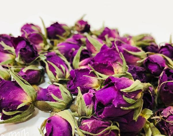 عکس برگ سنای مکی