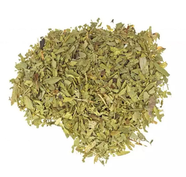 عکس برگ سنای مکی