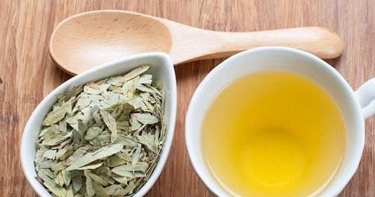 عکس برگ سنای مکی