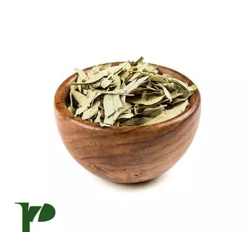عکس برگ سنای مکی