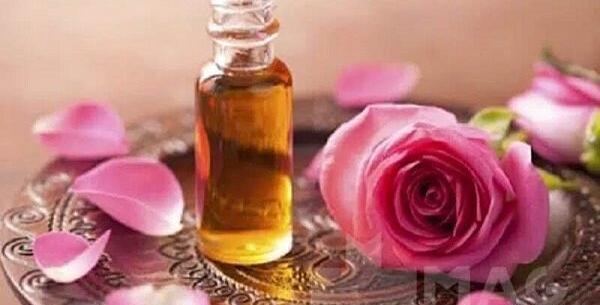 عکس برگ سنای مکی