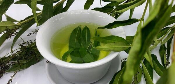 عکس برگ سنای مکی