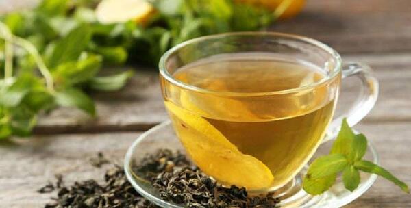 عکس گیاه برگ سنا