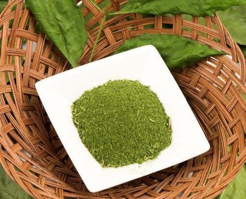 عکس گیاه برگ سنا