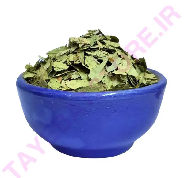 عکس برگ درخت سنا