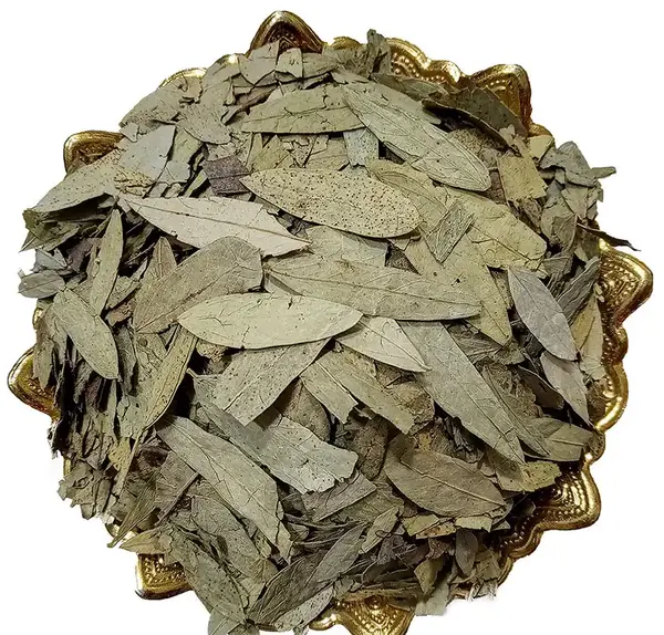 عکس برگ درخت سنا
