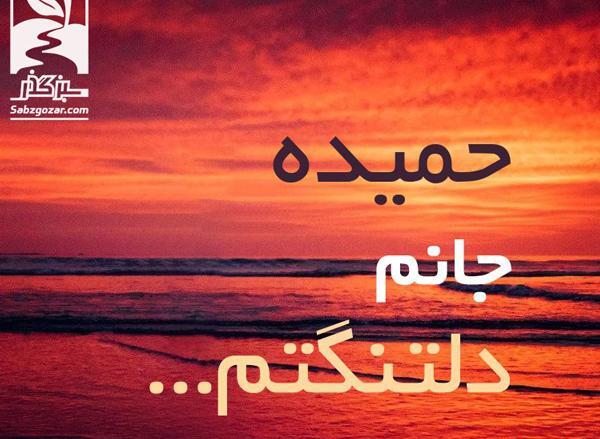 عکس تولد حمیده جان تولدت مبارک