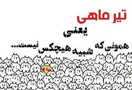 دانلود عکس تیر ماهی جان تولدت مبارک
