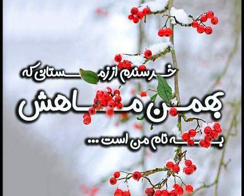 عکس نوشته به رسم عادت تولدم مبارک بهمن ماهی