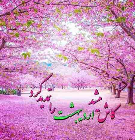 عکس پروفایل تولدم مبارک اردیبهشت