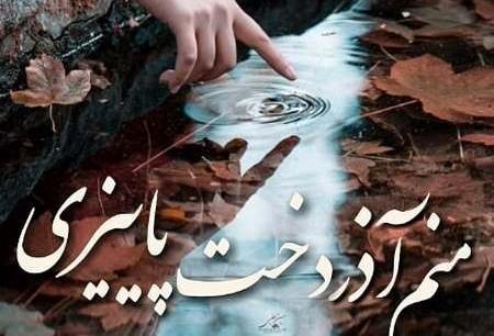 دانلود عکس تولدم مبارک آذر ماهی