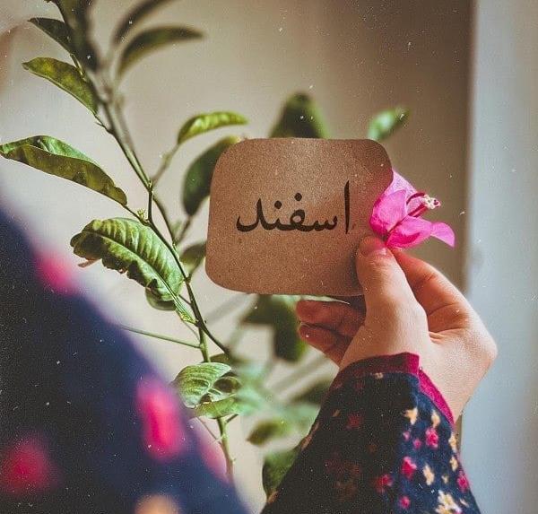 عکس تولدم مبارک دختر اسفند ماهی