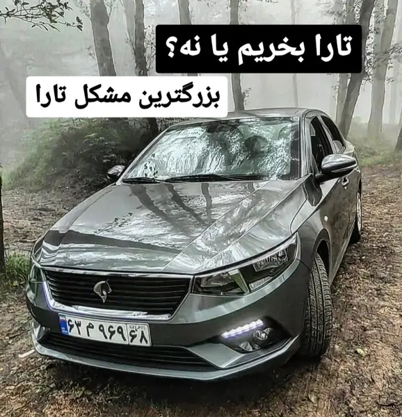 عکس تارا سفید v1