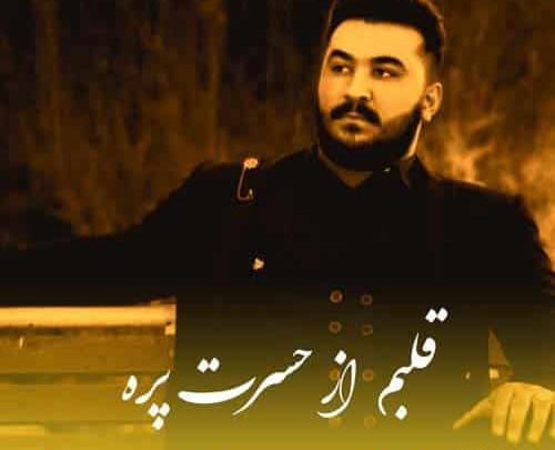 عکس های رضا کرمی تارا