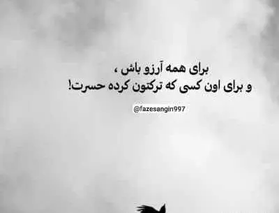 عکس های رضا کرمی تارا