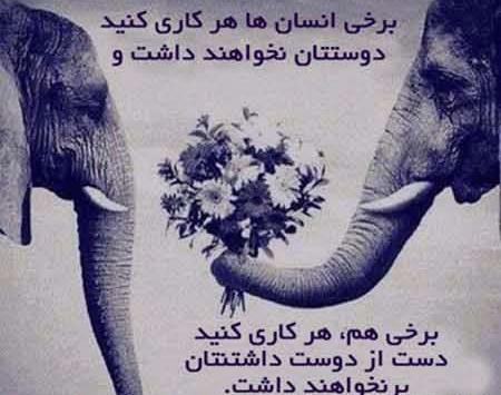 دانلود عکس پسرم دوستت دارم