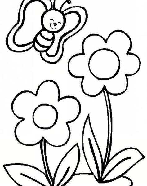 عکس پروانه نقاشی کوچک