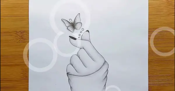 عکس پروانه نقاشی سیاه قلم