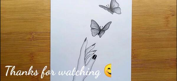 عکس پروانه نقاشی سیاه قلم
