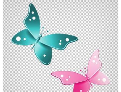 عکس پروانه صورتی زیبا