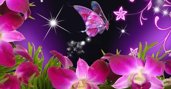 عکس پروانه برای پروفایل شاد