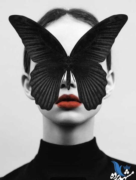 عکس پروانه برای پروفایل سیاه سفید