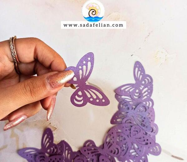 عکس پروانه های بنفش