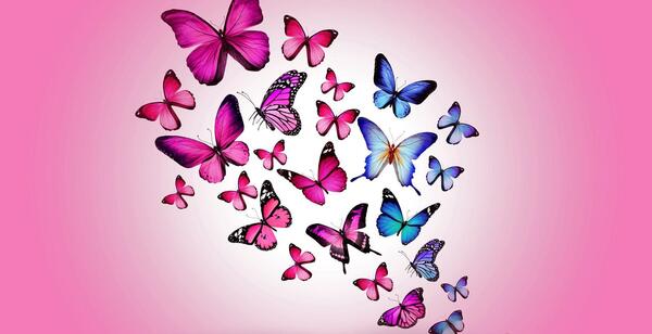 عکس پروانه ابی برای تصویر زمینه