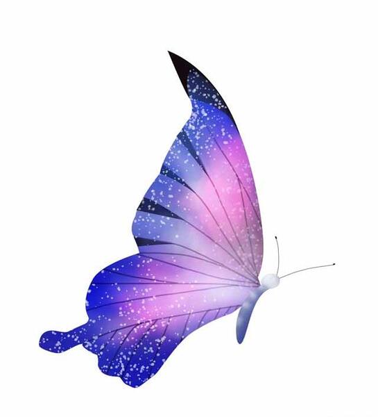 عکس پروانه بنفش برای چاپ