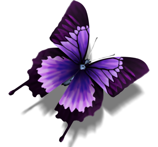 عکس پروانه بنفش برای چاپ