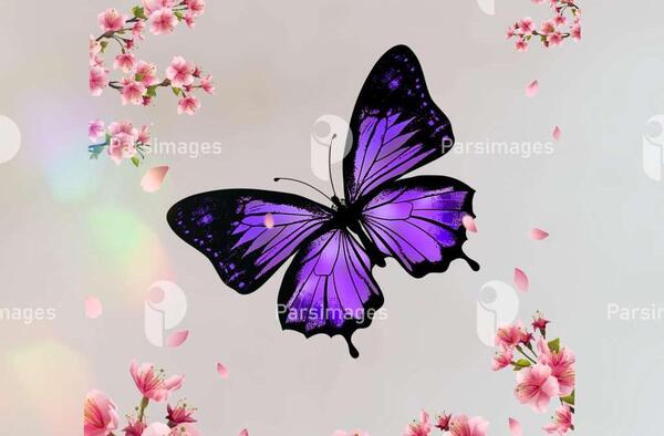 عکس پروانه بنفش واقعی