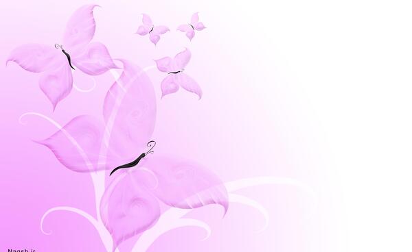 عکس پروانه بنفش برای پس زمینه