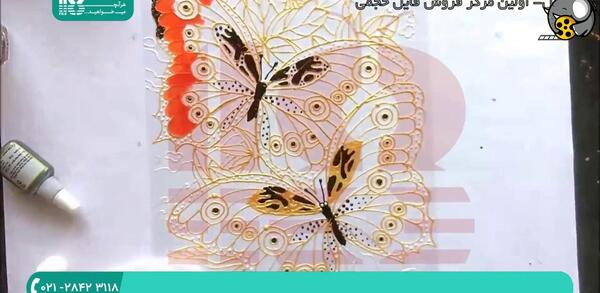 عکس پروانه برای نقاشی کشیدن