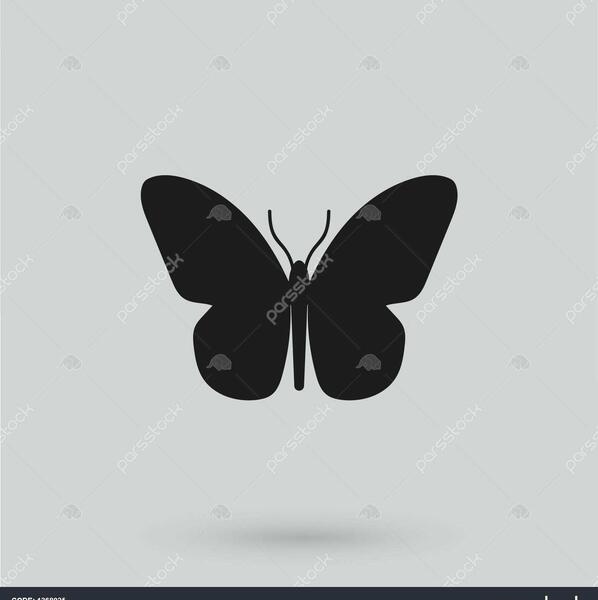 عکس پروانه برای پس زمینه گوشی