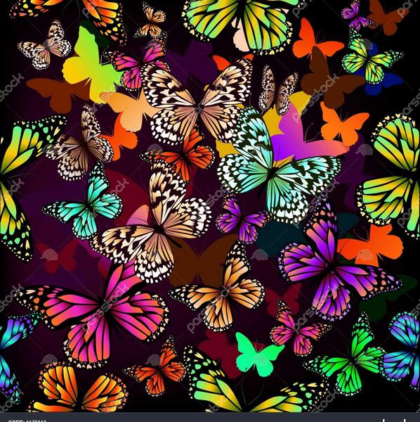 عکس پروانه سیاه برای پس زمینه