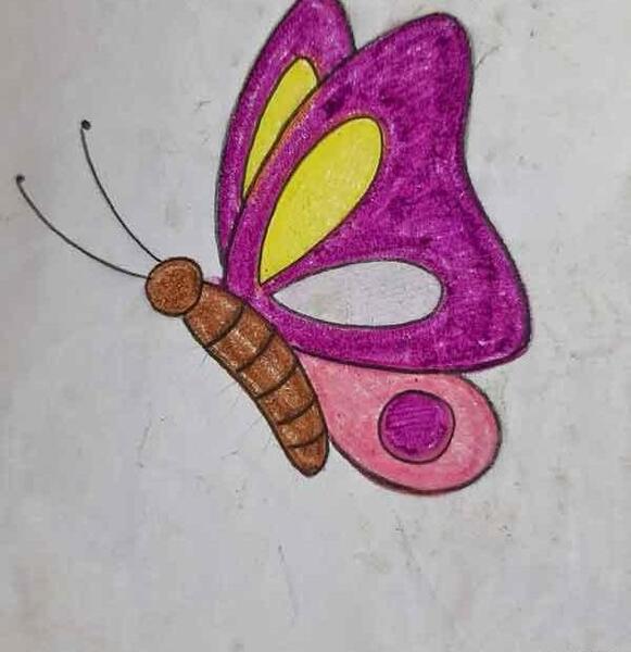عکس پروانه خوشگل نقاشی