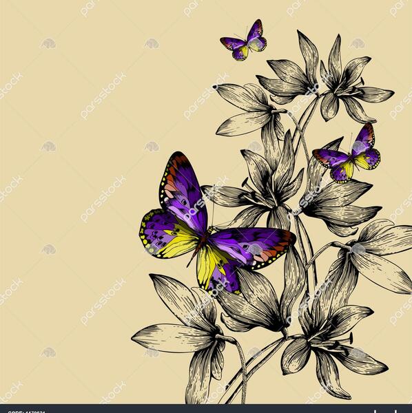 عکس نقاشی خام پروانه