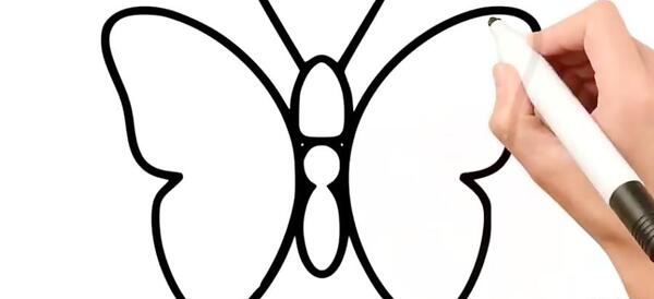 عکس نقاشی خام پروانه
