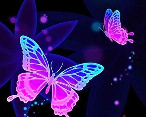 عکس خواننده پروانه پر زد از پیله رفت