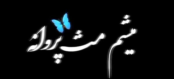 عکس خواننده پروانه پر زد