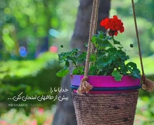 عکس خواننده پروانه پر زد