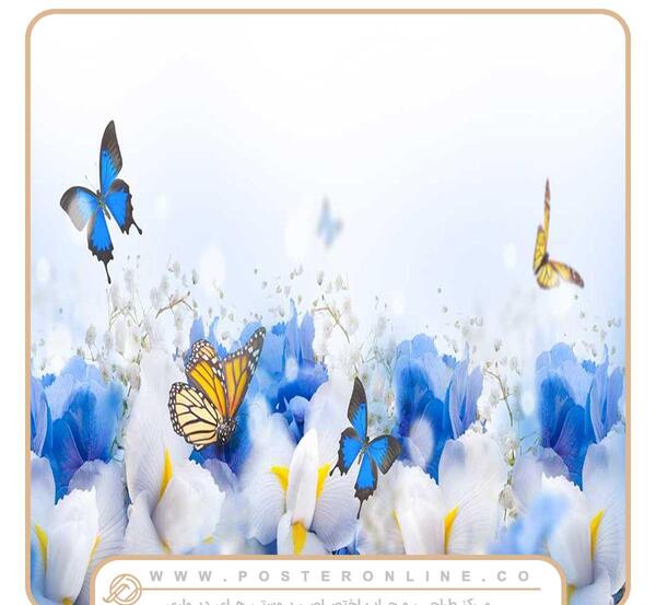 عکس پروانه های دیواری